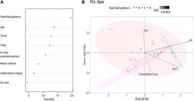 Does Copper Contamination Affect Soil CO2 Emissions? A Literature Review